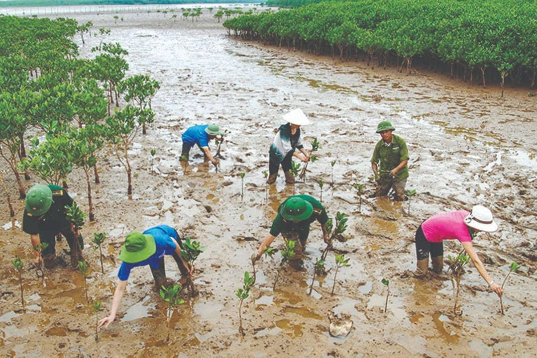 Phòng Chống Biến Đổi Khí Hậu: Hành Động Ngay Để Bảo Vệ Tương Lai Gallery 2