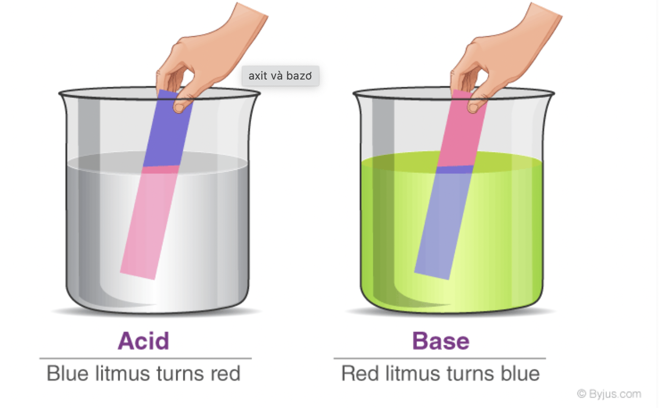 Base là gì hóa học?