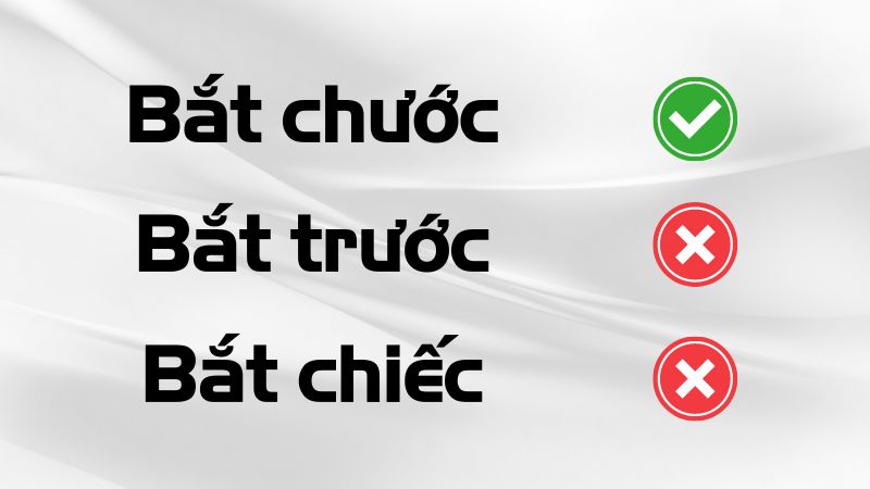 Bắt chiếc hay bắt chước? Gallery 2
