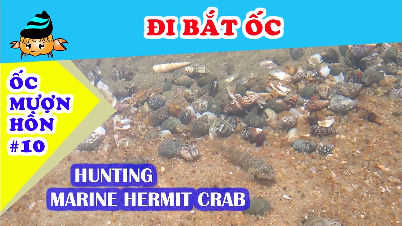 Bắt Ốc Mượn Hồn Ở Đâu?