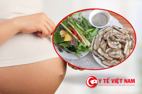 Bầu 3 tháng đầu ăn thịt chó được không?