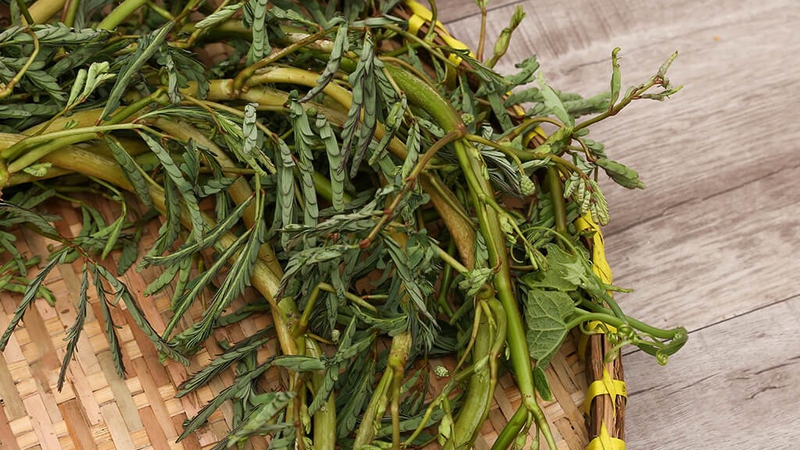 Bầu ăn rau nhút được không?