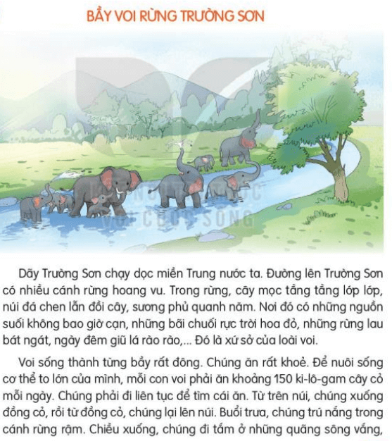 Bầy Voi Rừng Trường Sơn