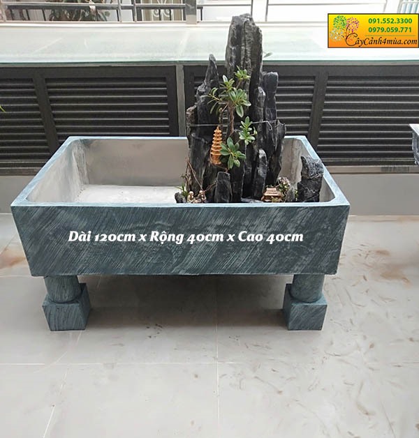Bể Cá Xi Măng: Giải Pháp Độc Đáo và Tiết Kiệm Chi Phí
