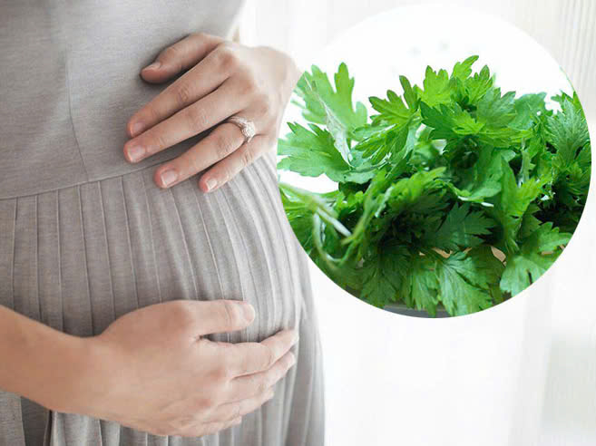 Bé mấy tháng ăn được ngải cứu?