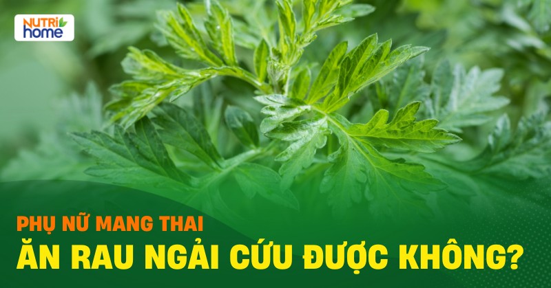 Bé mấy tháng ăn được ngải cứu? Gallery 2