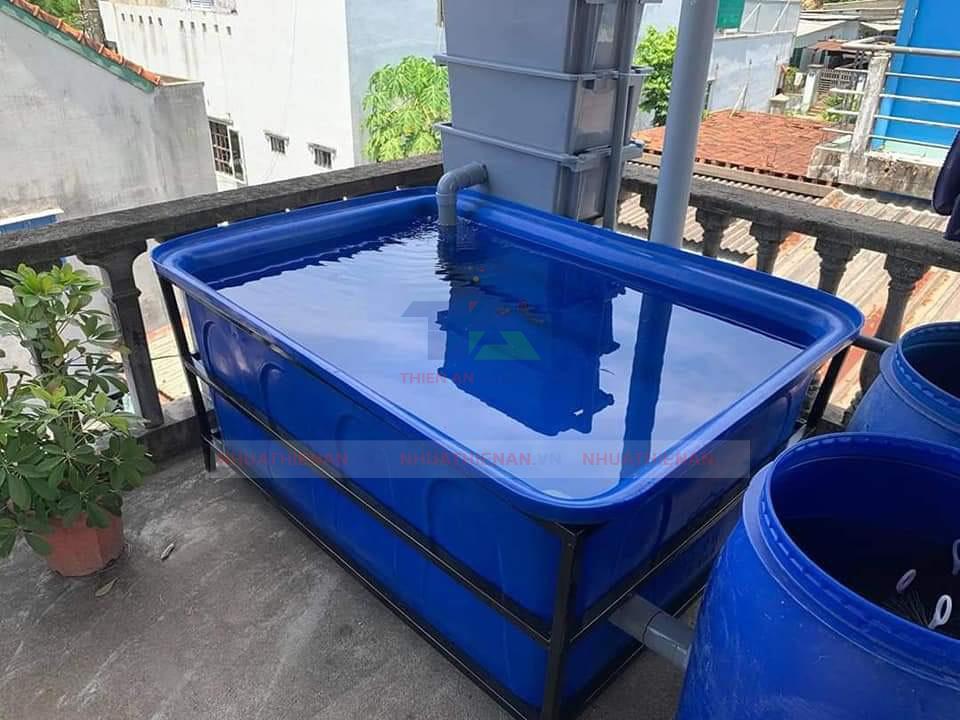 Bể Nhựa Nuôi Cá: Lựa Chọn Hoàn Hảo Cho Ngôi Nhà Của Bạn