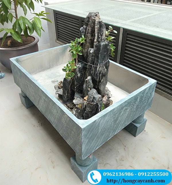 Bể Xi Măng Nuôi Cá Cảnh: Hướng Dẫn Chi Tiết và Lợi Ích