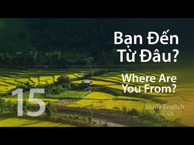 Where Are You From? Gallery 2