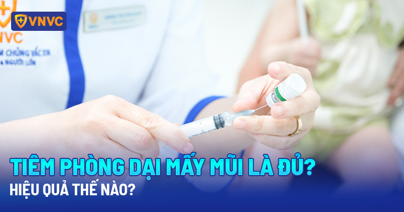 Bị chó cắn tiêm mấy mũi?
