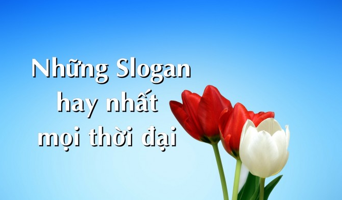 Những Khẩu Hiệu Hay: Thu Hút Khách Hàng & Nâng Tầm Thương Hiệu Gallery 2