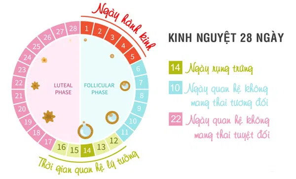 Thả Tính Là Gì? Hướng Dẫn Chi Tiết Và Bí Quyết Thành Công Gallery 2
