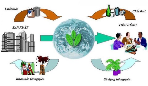 Biện pháp bảo vệ môi trường và cuộc sống