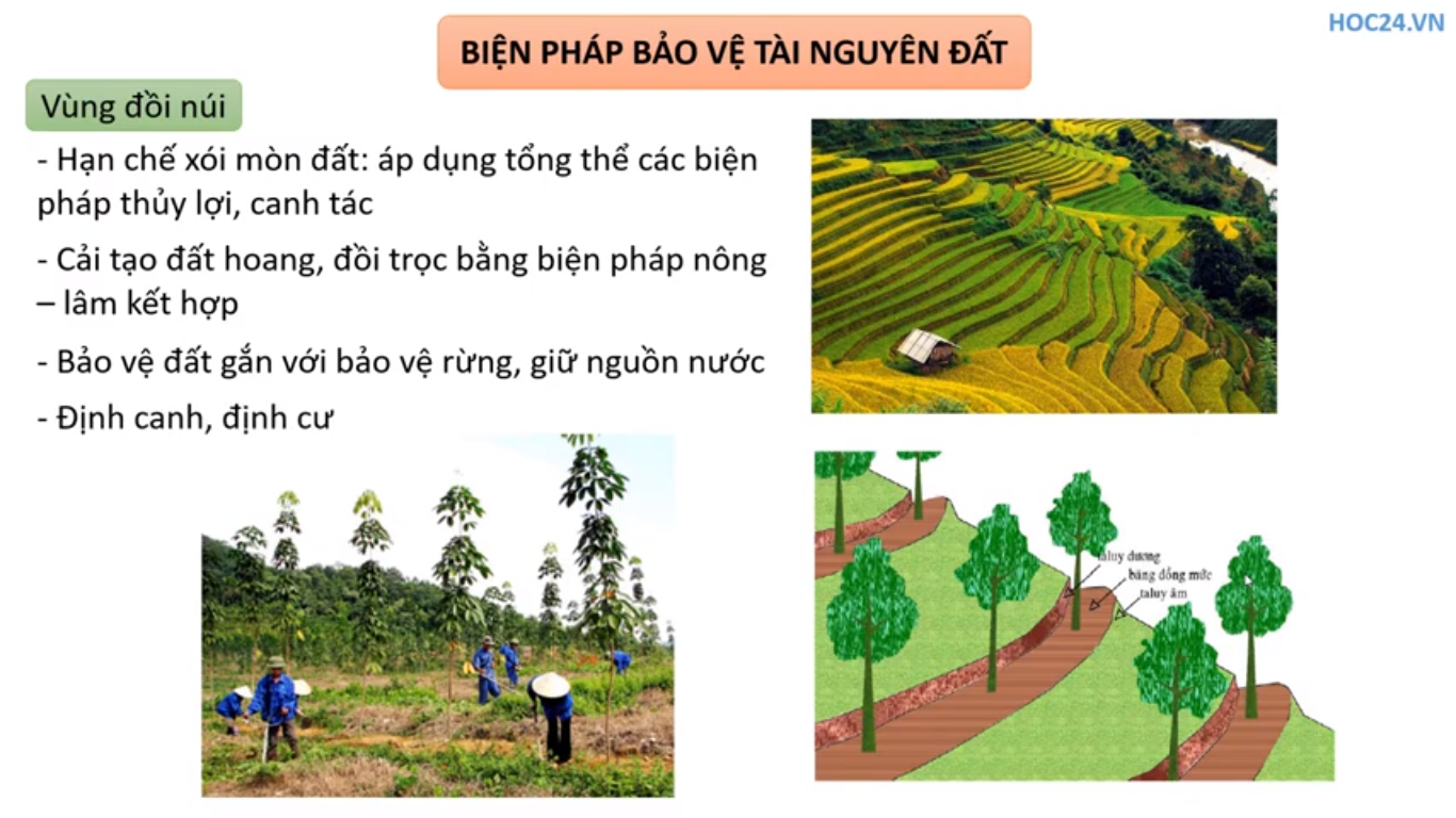 Biện pháp sử dụng có hiệu quả đất trồng ở đồng bằng nước ta