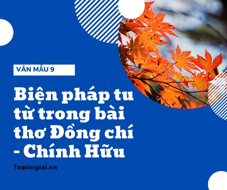 Biện pháp tu từ trong bài thơ Đồng chí