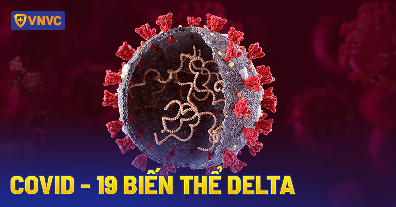 Biến thể là gì?