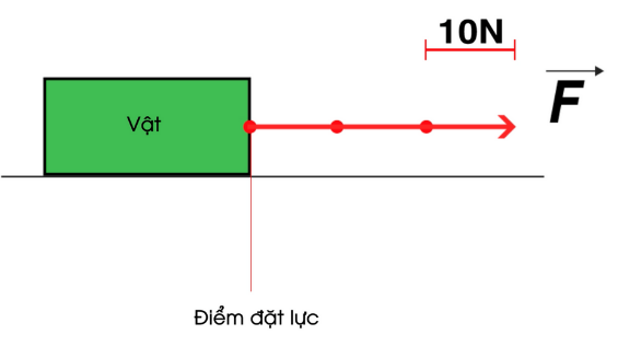 Lực được biểu diễn như thế nào? Gallery 2
