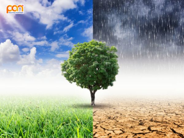 Biểu Hiện Của Biến Đổi Khí Hậu