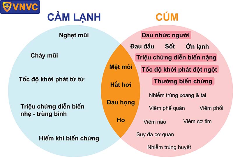 Biểu Hiện Của Cảm Lạnh