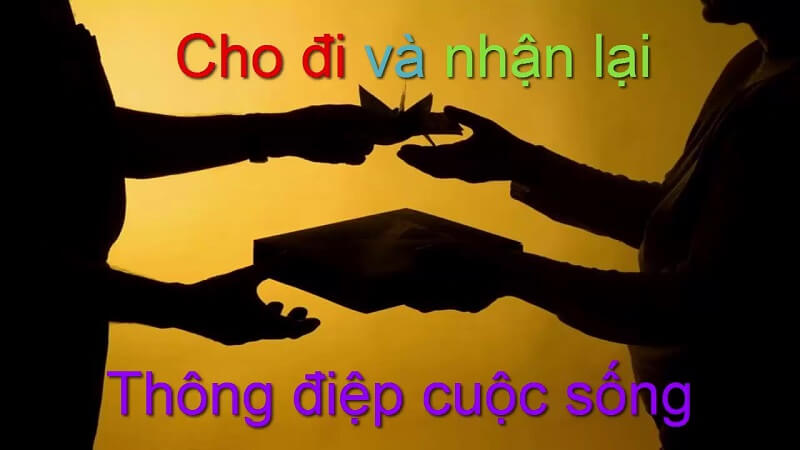 Biểu Hiện Của Cho Và Nhận Gallery 1