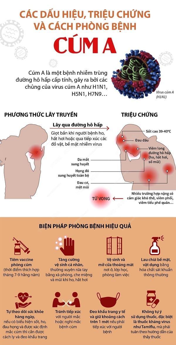 Biểu Hiện Của Cúm A