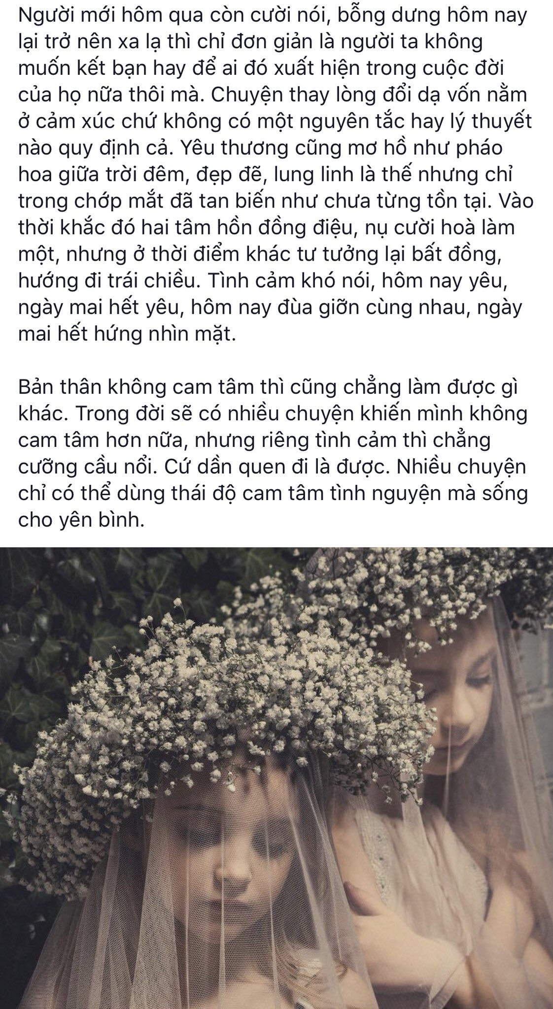 Không Cam Tâm Là Gì? Gallery 1