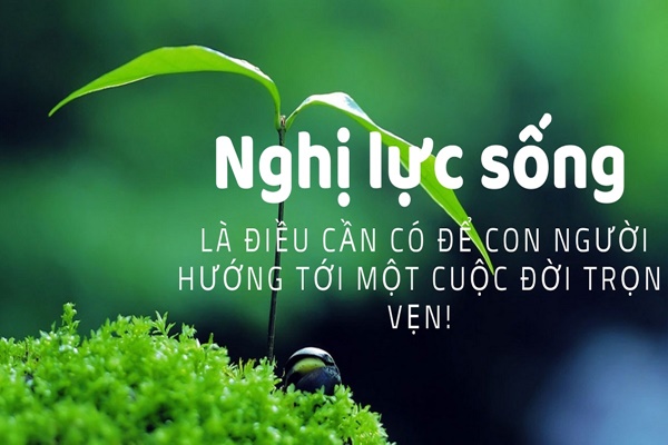 Biểu Hiện Của Nghị Lực Sống