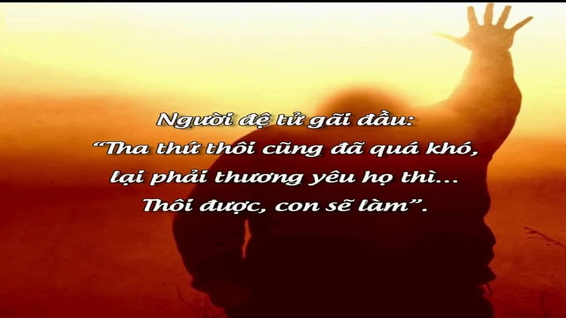 Biểu Hiện Của Cho Và Nhận Gallery 2
