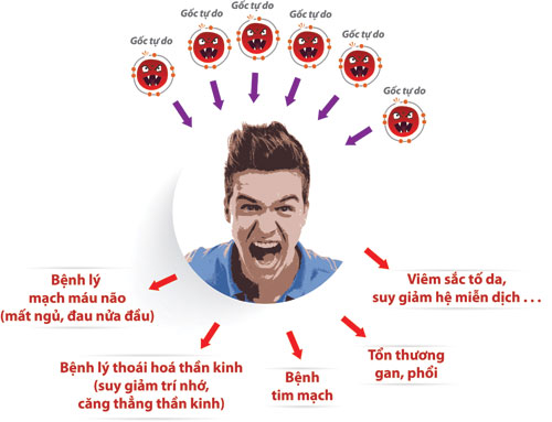 Biểu Hiện Của Sự Tức Giận