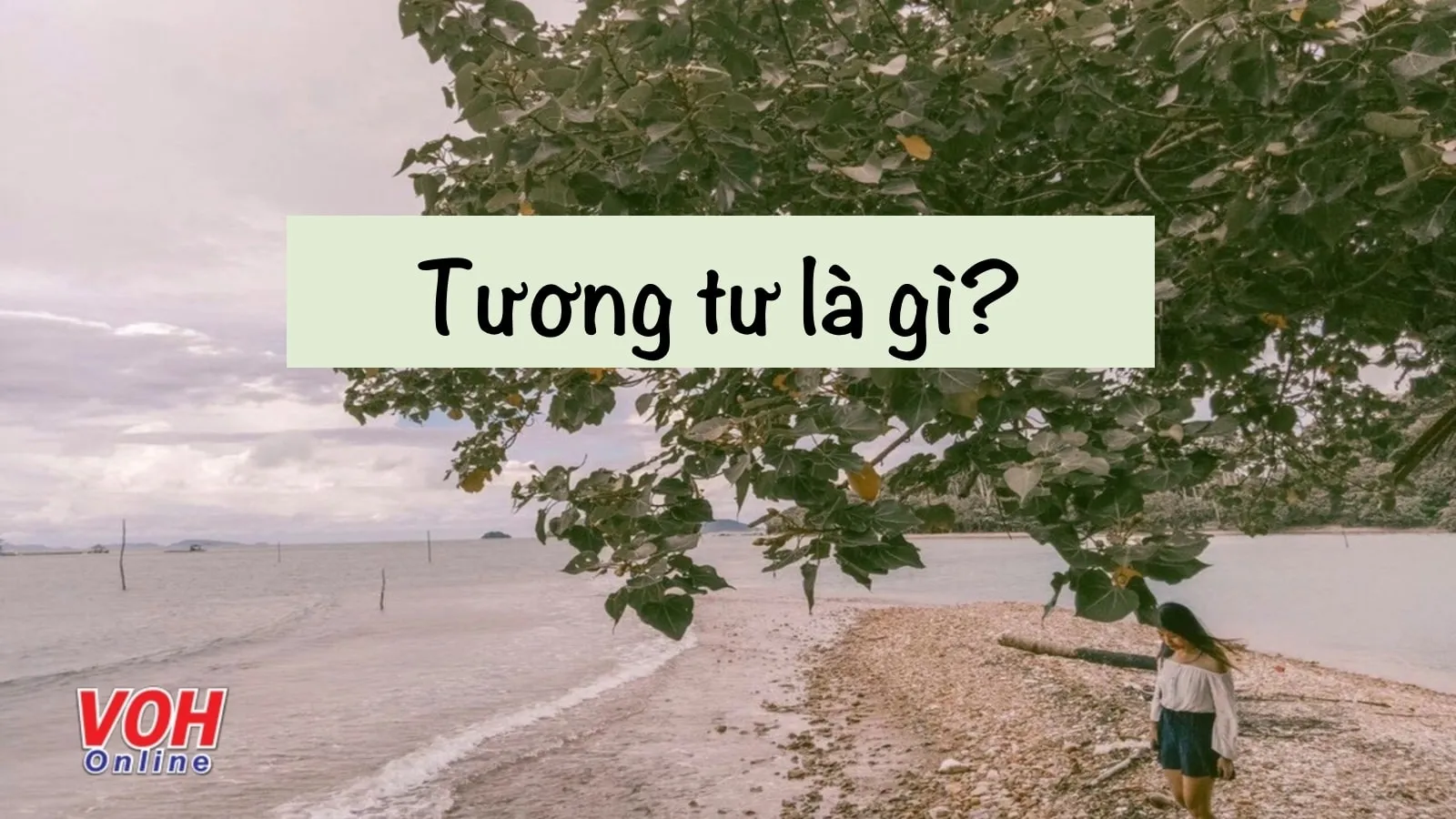 Tương tư trong tình yêu là gì? Gallery 1