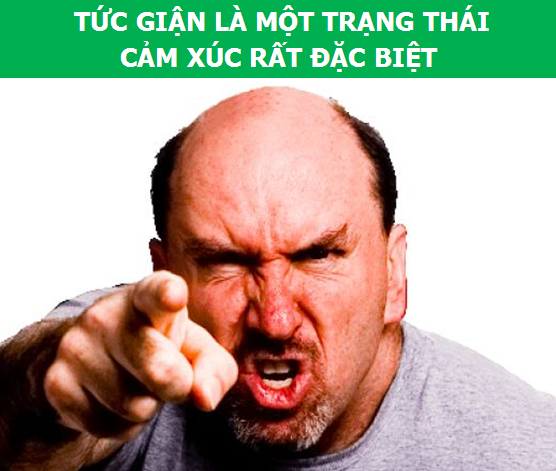 Biểu Hiện Của Sự Tức Giận Gallery 1
