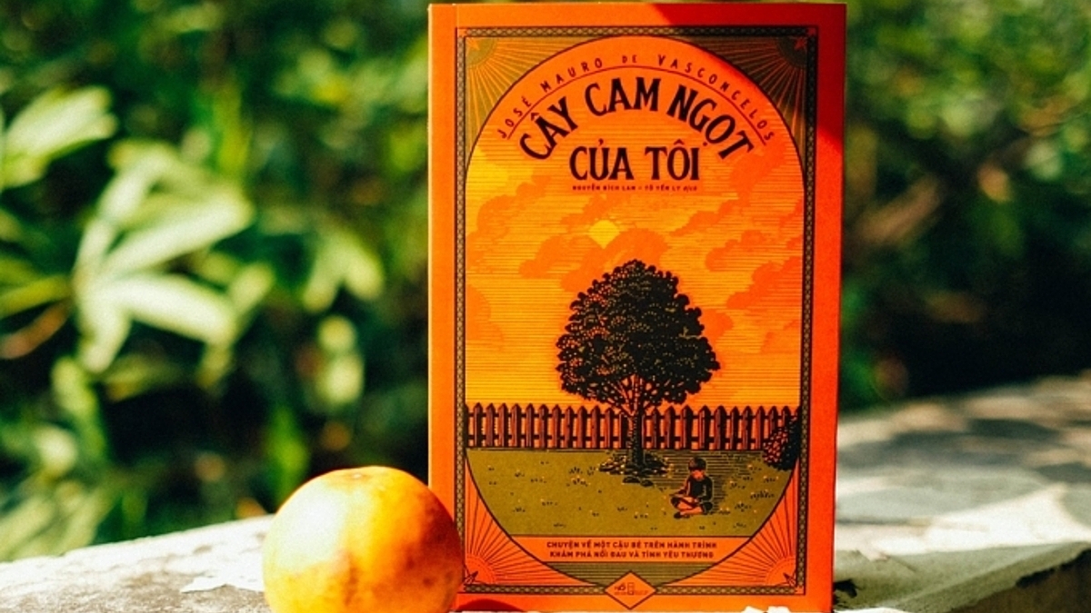 Thông Điệp Của Cây Cam Ngọt Của Tôi Gallery 1