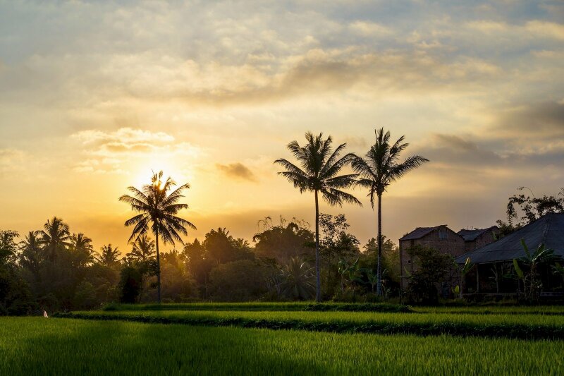 Bình Minh Ở Làng Quê