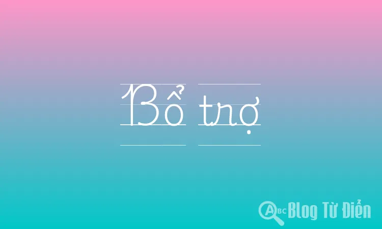 Bổ trợ là gì?