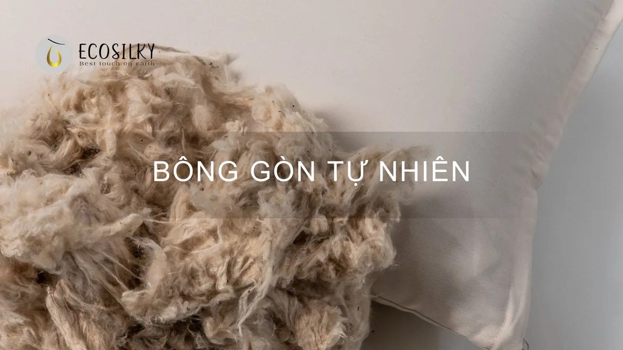 Bông Gòn Tự Nhiên: Mềm mại, an toàn và thân thiện với môi trường