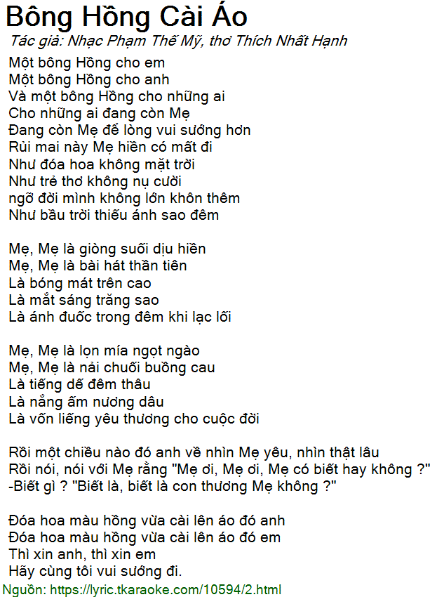 Bông Hồng Cài Áo Lời Bài Hát