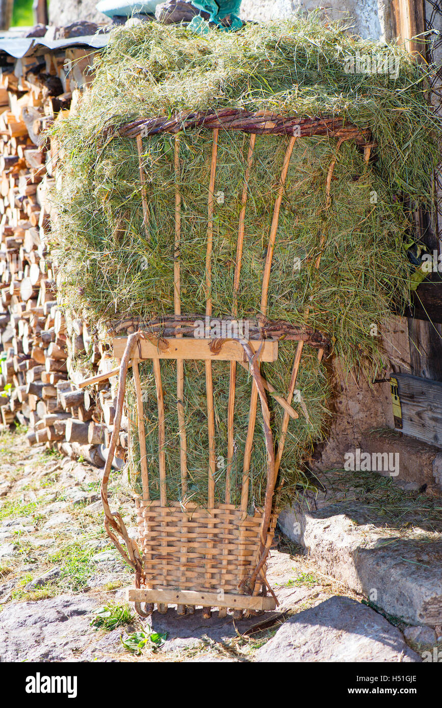 Bring for hay Bring to? Gallery 2