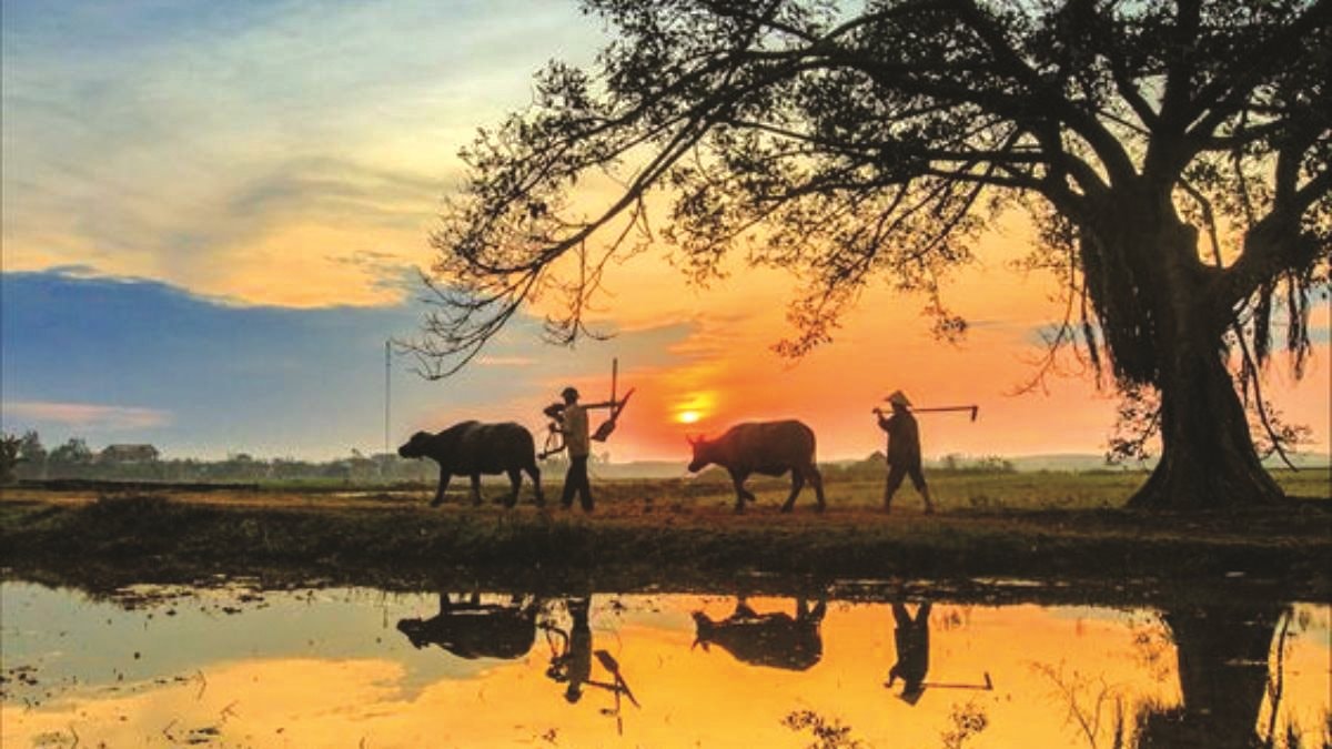 Bức Hoạ Đồng Quê: Vẻ Đẹp Hồn Quê Trong Tranh Gallery 2
