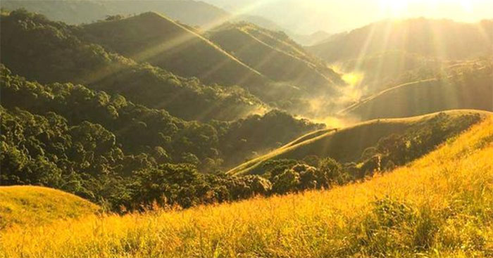 Văn tả buổi sáng đẹp nhất Gallery 1