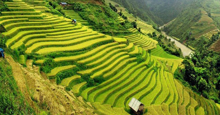 Cảm nhận Việt Bắc 8 câu đầu Gallery 1