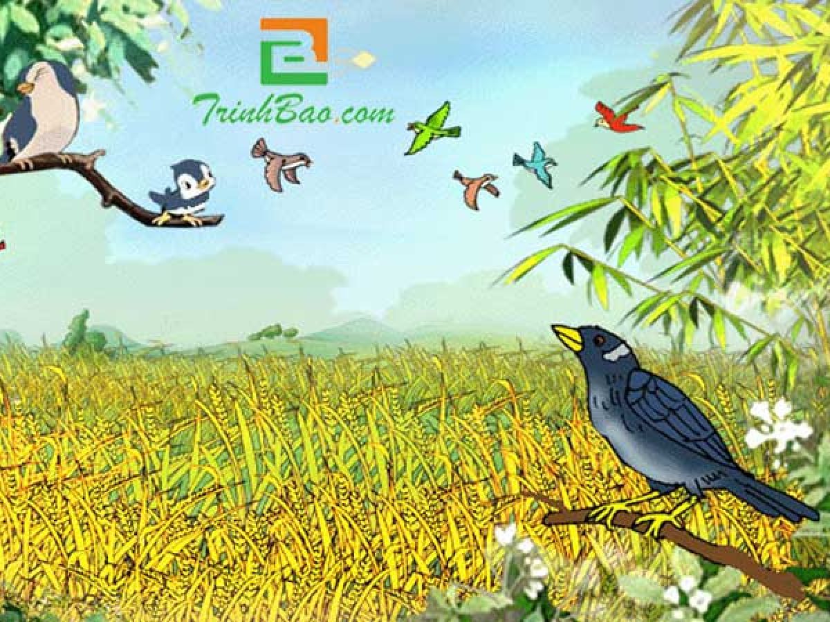 Khi con tu hú: Phân tích tác phẩm kinh điển của Tố Hữu Gallery 1
