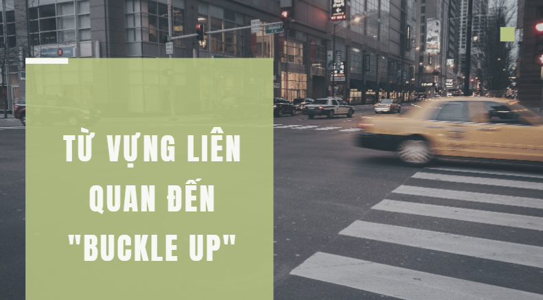 Buckle Up Là Gì?