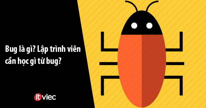 Bug Bug Là Gì?