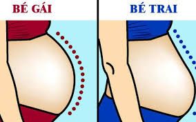 Bụng Nhọn Là Trai Hay Gái?