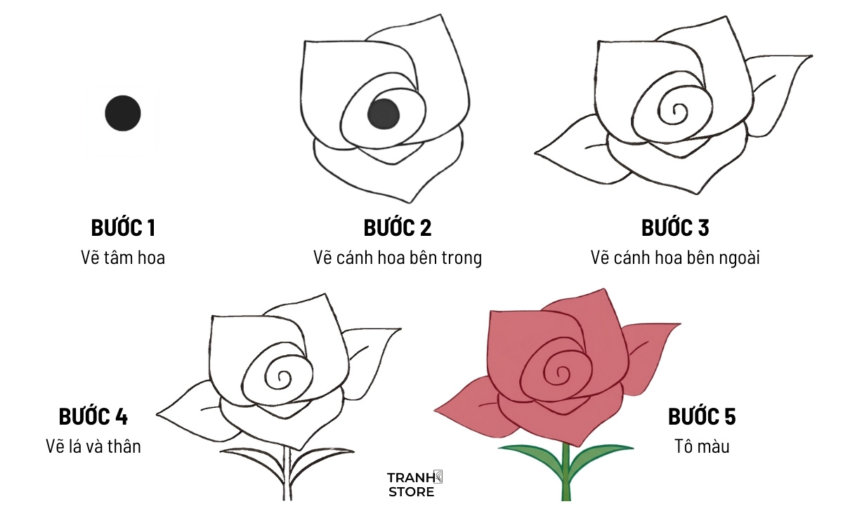 Cách Vẽ Bông Hoa Hồng Gallery 2