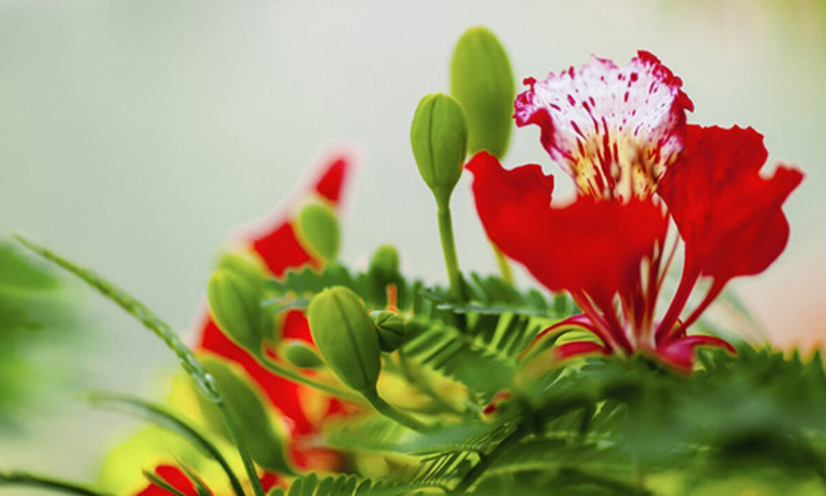 Bài Phát Biểu Cảm Nghĩ Khi Ra Trường Lớp 9 Gallery 2