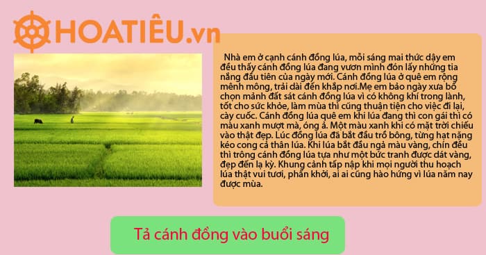 Cảnh sinh hoạt buổi sáng ở quê Gallery 1
