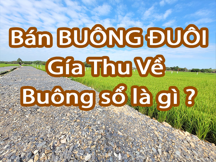 Buông Đuôi Là Gì?