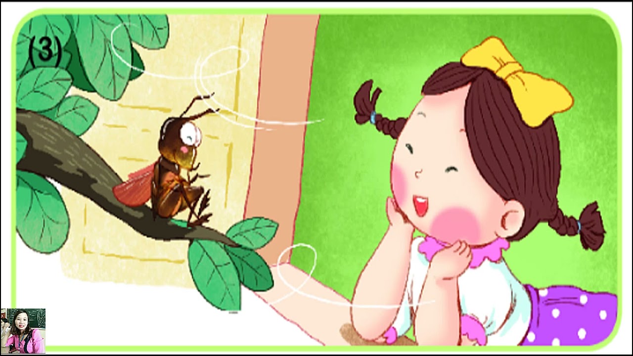 Búp bê và Dế mèn: Một cuộc phiêu lưu bất ngờ