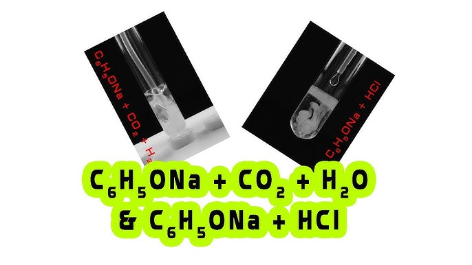 Phản ứng C6H5ONA + CO2 + H2O: Sản phẩm và Cơ chế